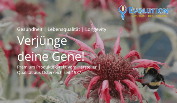 evolution_neue_website